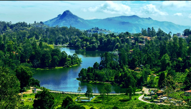 ooty kodaikanal tour packages for couple